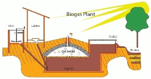 bioreactor2