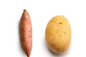 SWEETPOTATO1